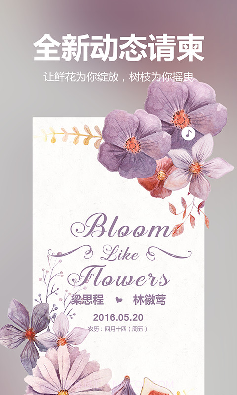 婚礼时光截图2 婚礼时光截图2