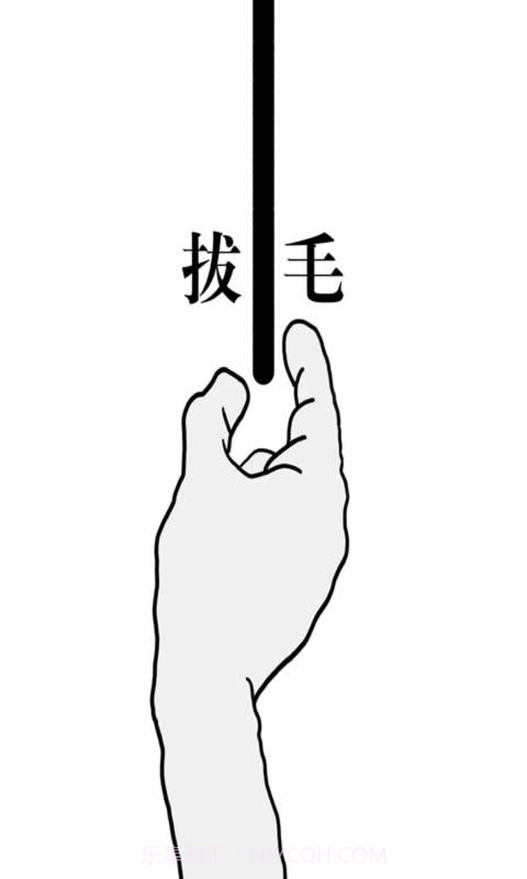 拔一根毛截图4 拔一根毛截图4