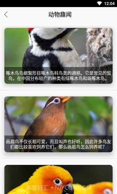 灵通植物识别截图4