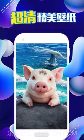 企鹅主题壁纸2021截图2 企鹅主题壁纸2021截图2