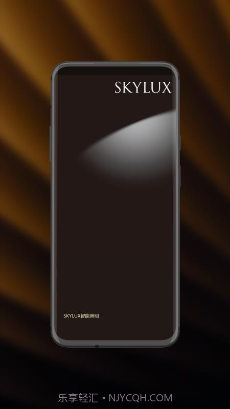 智能照明SK老版本截图4