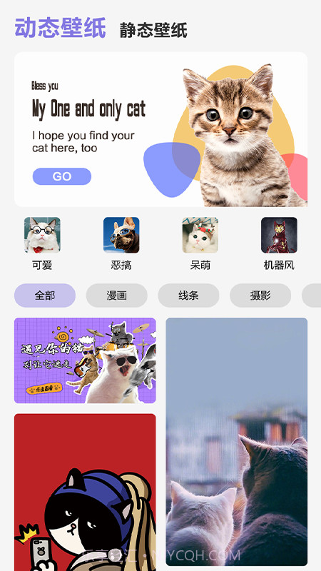 可爱喵喵壁纸大全截图3 可爱喵喵壁纸大全截图3
