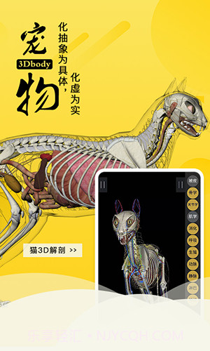 3dbody宠物截图3 3dbody宠物截图3