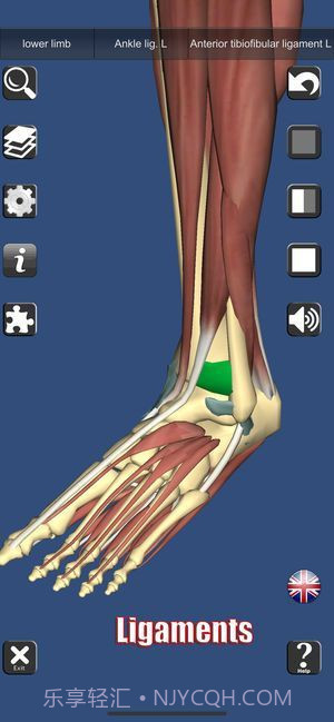 3D解剖截图3 3D解剖截图3