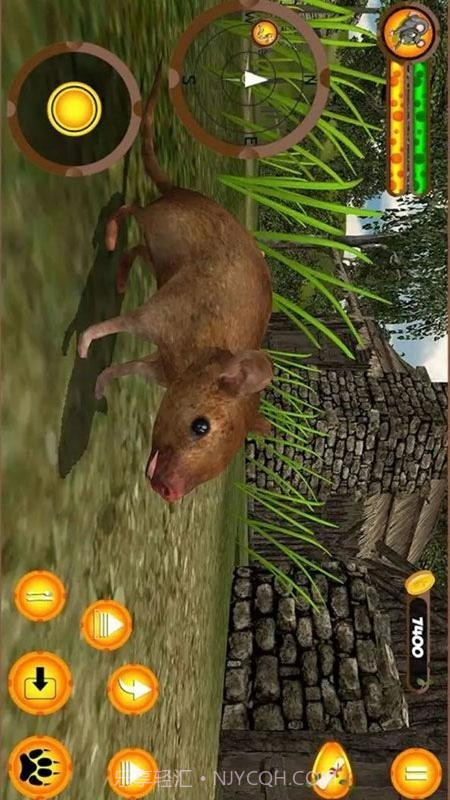 愤怒的老鼠家族截图1