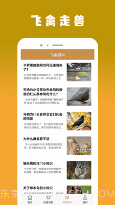 飞禽大全资讯截图1 飞禽大全资讯截图1