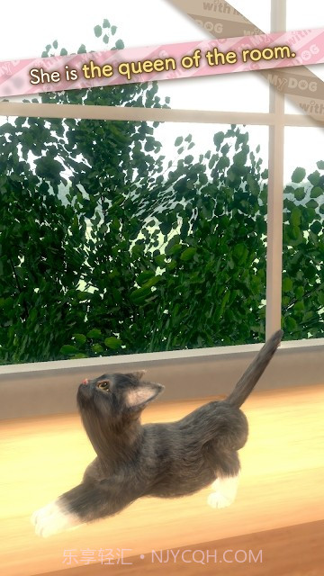 与我的猫咪截图1