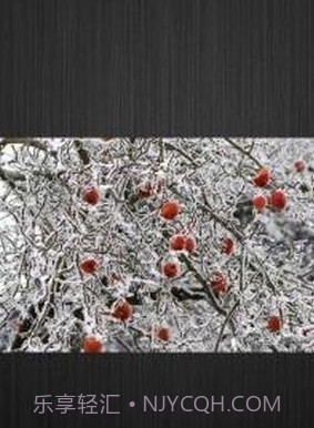 Picasa相册截图3 Picasa相册截图3