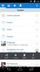 Dropbox截图2