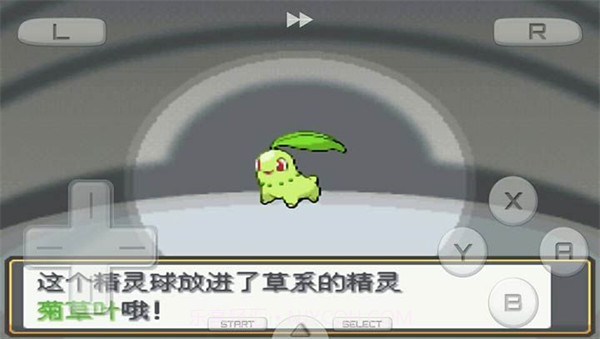 口袋妖怪金银截图1 口袋妖怪金银截图1