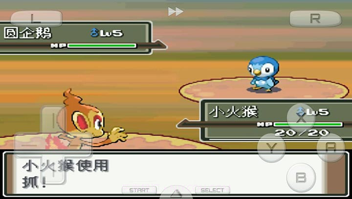 口袋妖怪:白金493 汉化版(悟饭)截图5 口袋妖怪:白金493 汉化版(悟饭)截图5