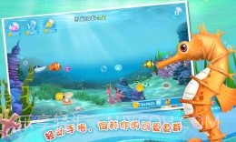 口袋水族箱截图3 口袋水族箱截图3