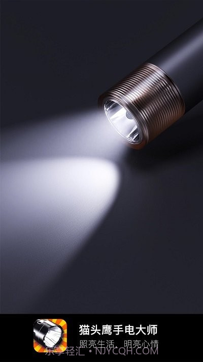 猫头鹰手电大师截图1